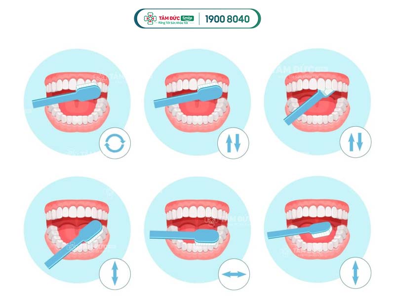 đánh răng đúng cách cải thiện tình trạng chân răng có mùi hôi