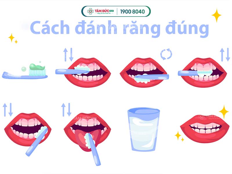 hướng dẫn cách đánh răng