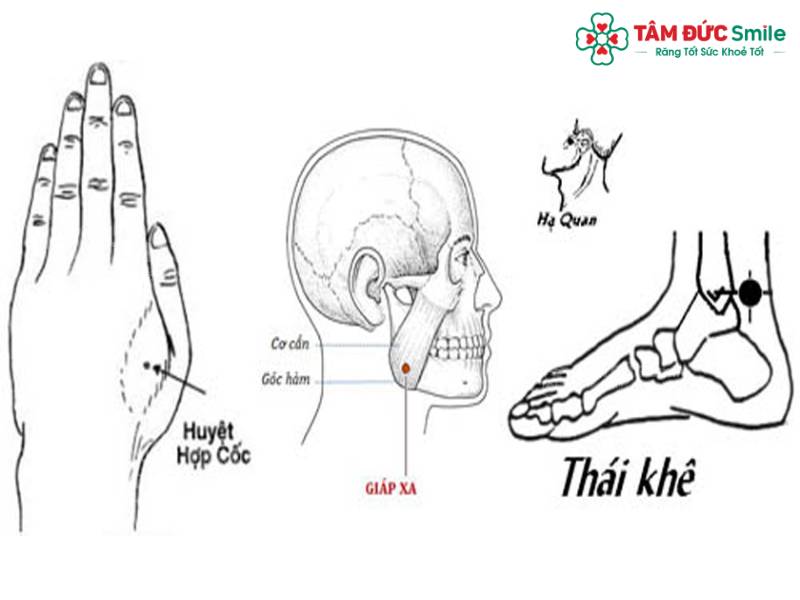 đau răng bấm huyệt nào