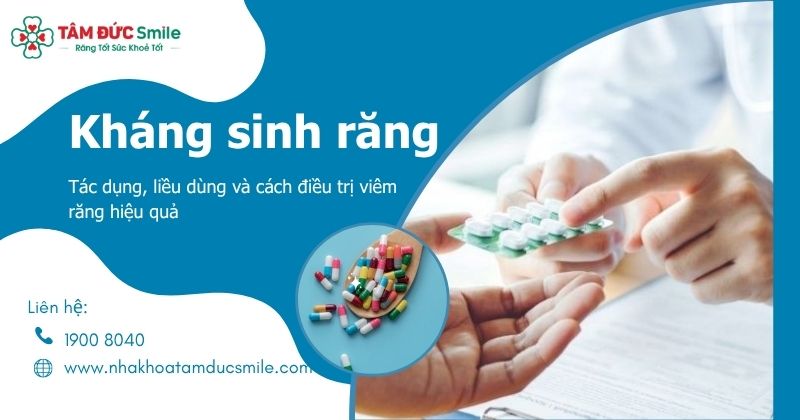 Kháng sinh răng: Tác dụng, liều dùng và cách điều trị viêm răng hiệu quả