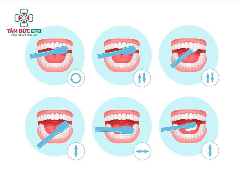 các bước đánh răng đúng cách