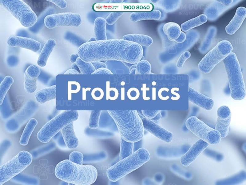 lợi khuẩn probiotic là gì