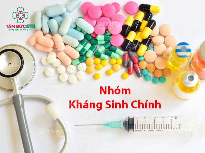 7 nhóm kháng sinh chính