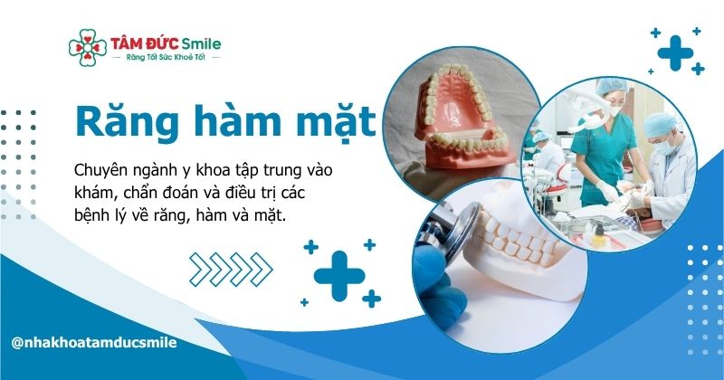 Khám và điều trị răng hàm mặt: Dịch vụ chuyên sâu tại các cơ sở uy tín nhất