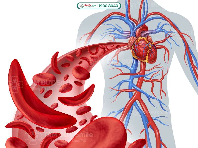 Tác dụng của nước đối với cơ thể