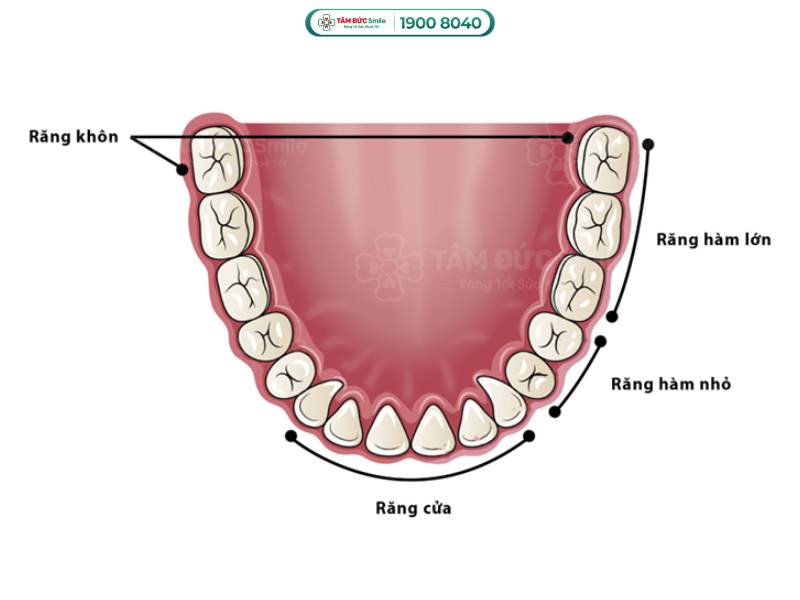 tại sao nhổ răng khôn lại nguy hiểm