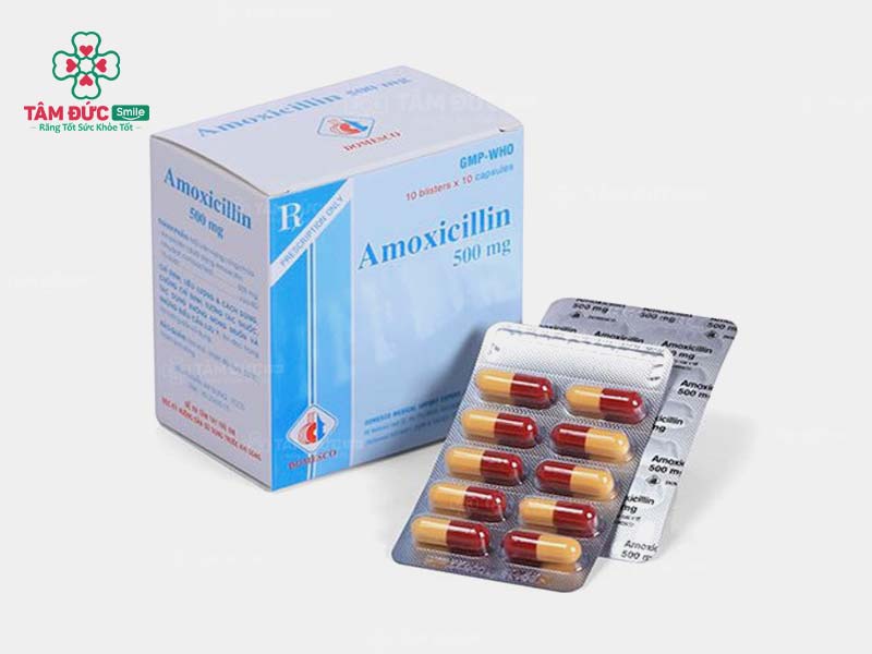  Thuốc kháng sinh Amoxicillin được sử dụng trong điều trị viêm lợi sưng má