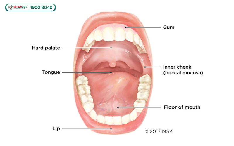 vom-hong-binh-thuong-3