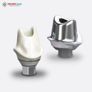 implant-abutment-3