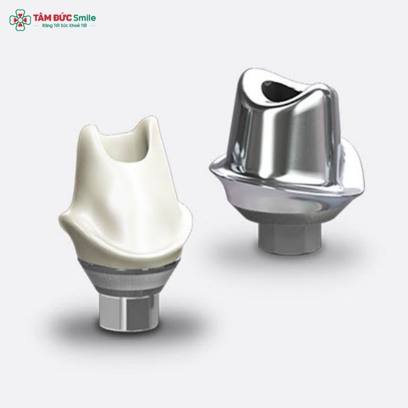 implant-abutment-3