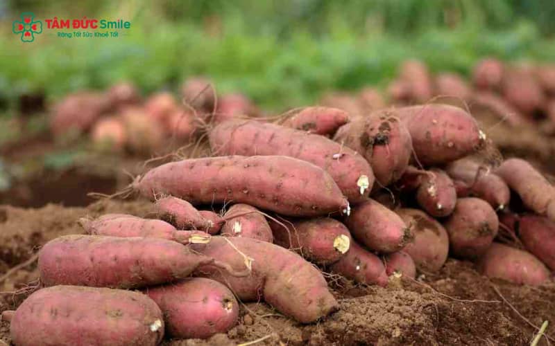 Ăn sáng với khoai lang giúp no lâu và tránh tình trạng ăn vặt nhiều chất béo
