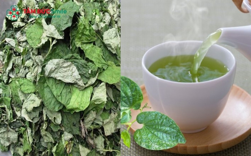 Súc miệng bằng nước lá lốt đun đặc cùng một chút muối là cách dân gian giúp làm sạch khoang miệng và dịu cơn ê buốt răng sâu hiệu quả.